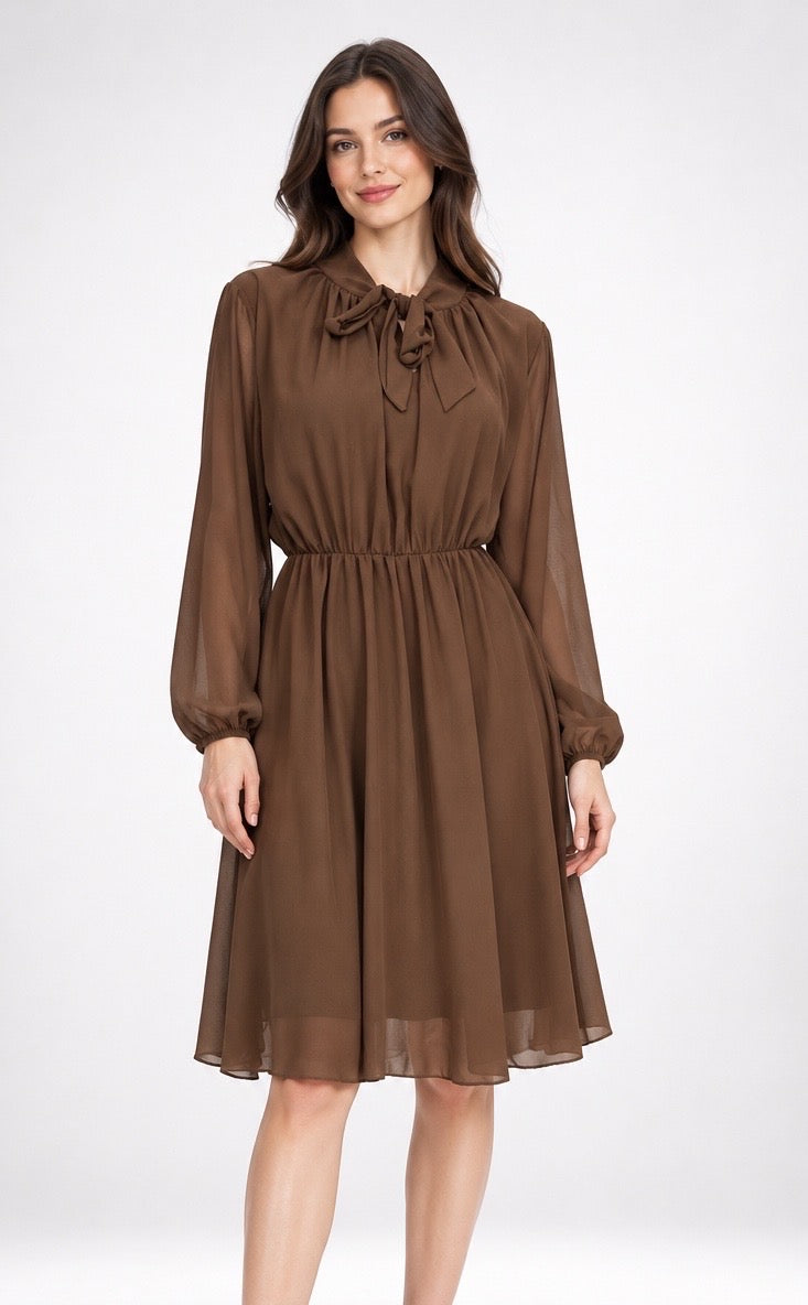 Sheer Chiffon Pussy-bow Dress – Zuppe Clothing