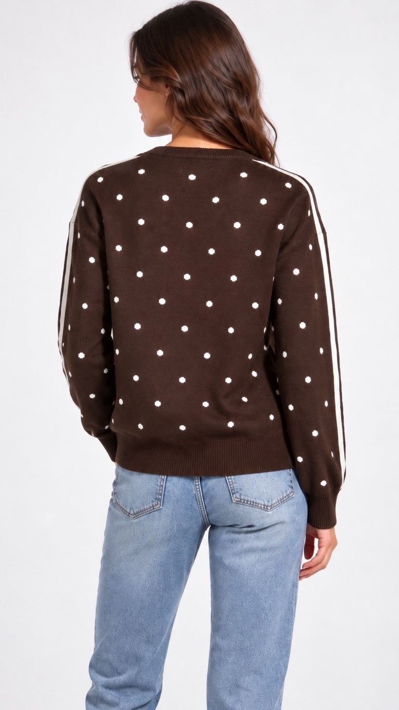Polka Dot Jumper with Stripe Sleeves - Mixed Pack (2)